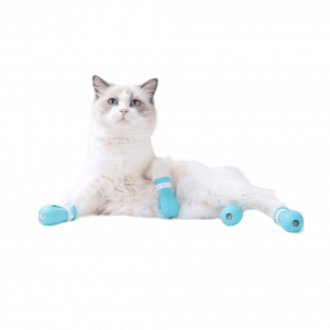 Взуття для котів