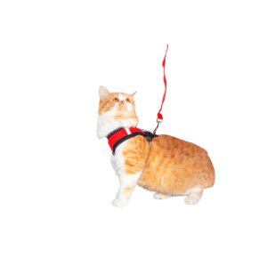 Повідці для котів та кішок