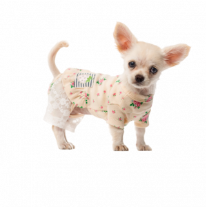 Костюми для собак