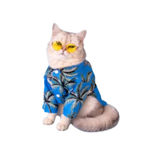 Сорочки для котів